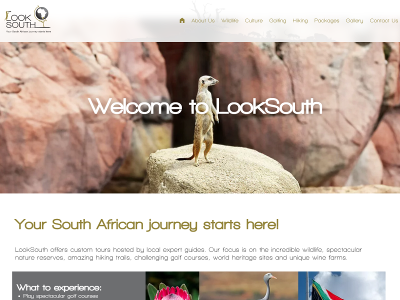 looksouth.co.za